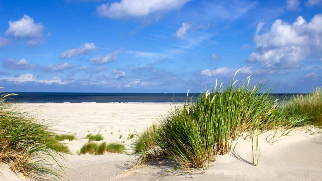 Campervakantie aan zee met duinen en strand